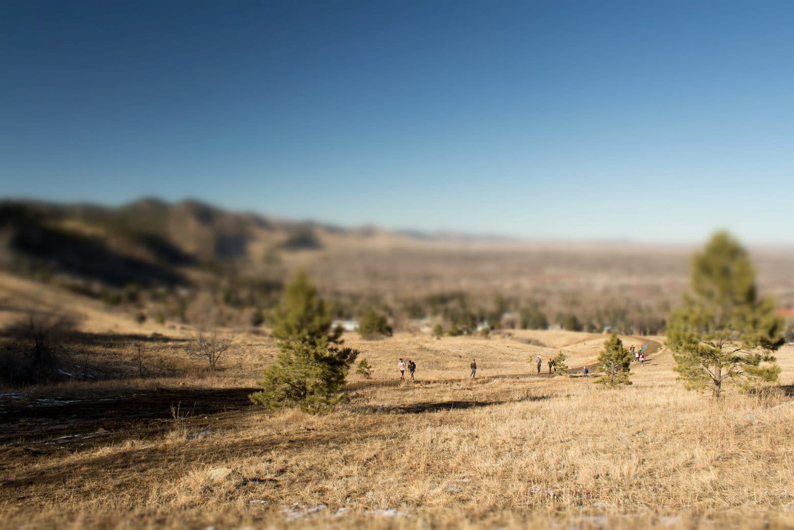 Altitude Carpet Cleaners Broomfield Longmont Boulder Altitude Carpet Care